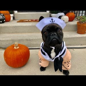 Meet your Posher, Karly